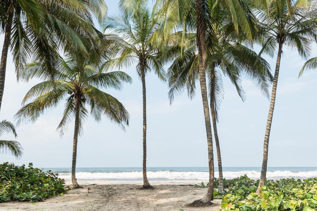 Tayrona Tented Lodge Guachaca Εξωτερικό φωτογραφία