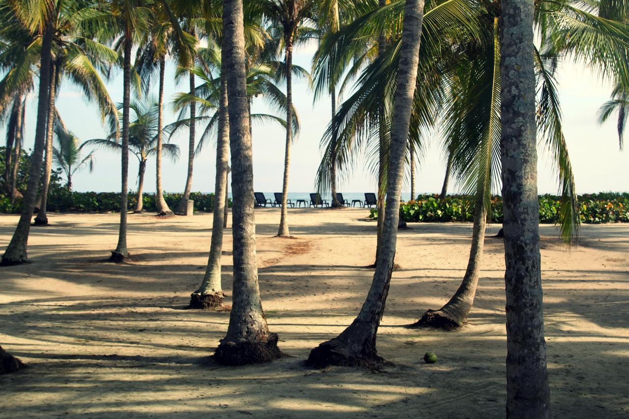 Tayrona Tented Lodge Guachaca Εξωτερικό φωτογραφία